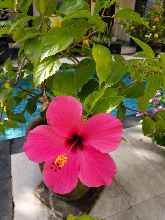 Radha Bali Hotel Kuta Lombok Exterior foto